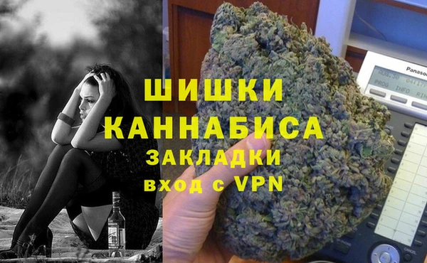 хмурый Белокуриха